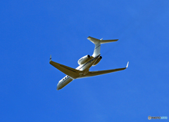 「青が大好き」ウェルズ・ファーゴ・B・N Gulfstream G550飛び立ち