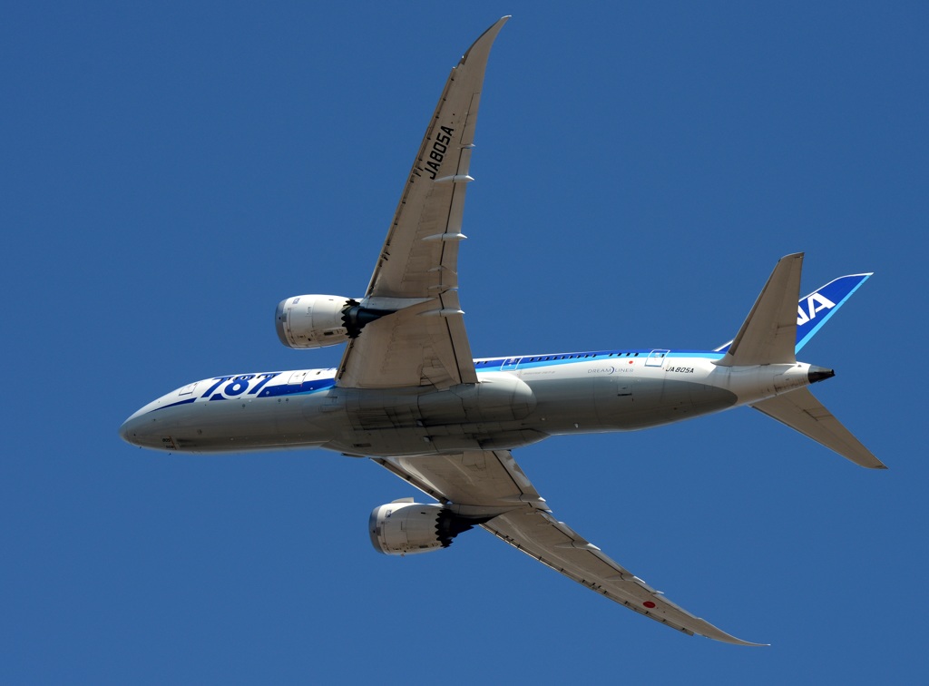 ANA 787-8