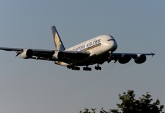 SINGAPORE A380-841 着陸　
