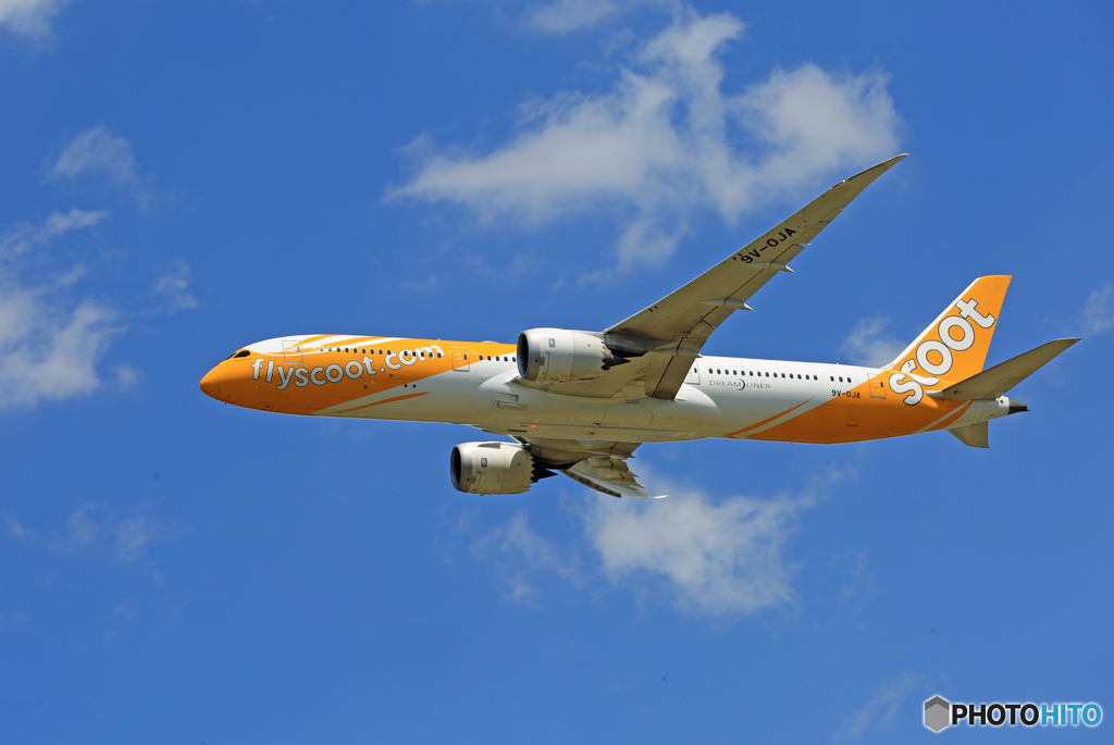 「SKY」　scoot 787-9 9V-OJA Takeoff 