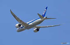 飛び立ち　ANA 787-8 JA805A