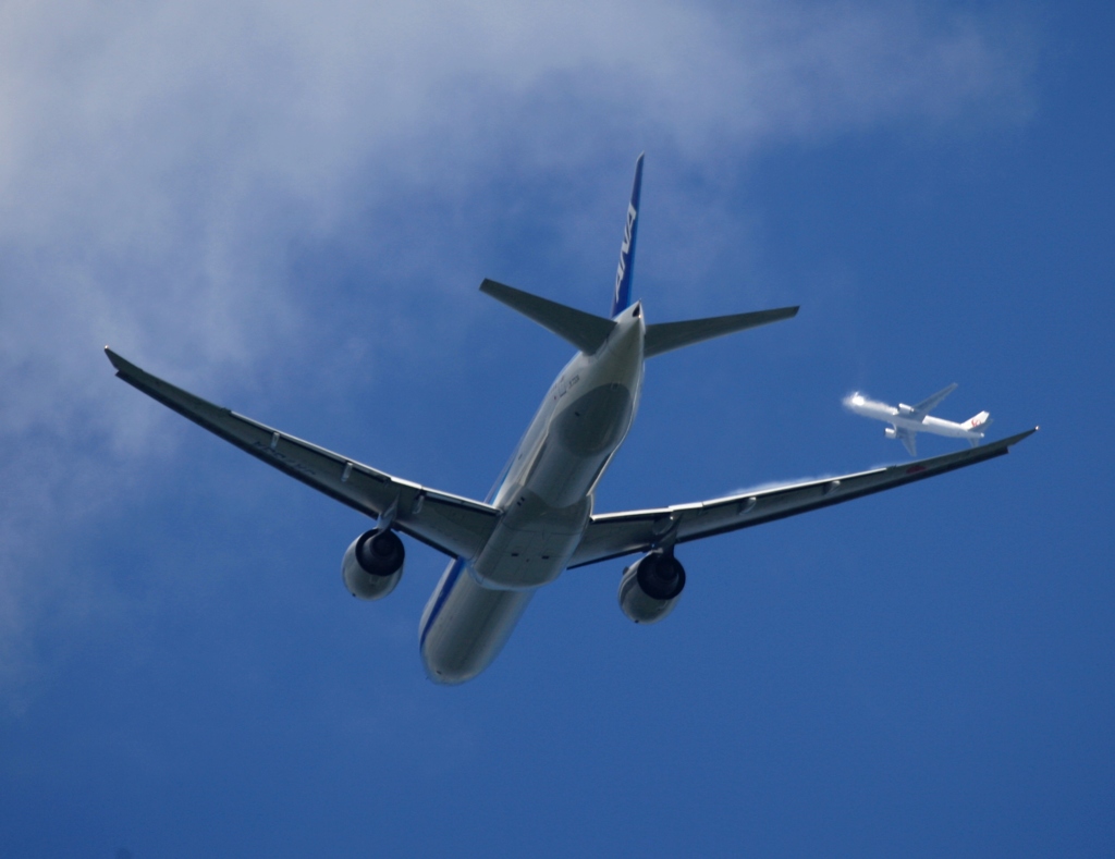 ↑←　あぶないね？