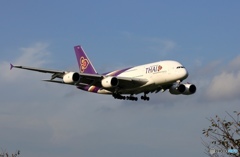 ✈THAI A380-841 HS-TUE Landing