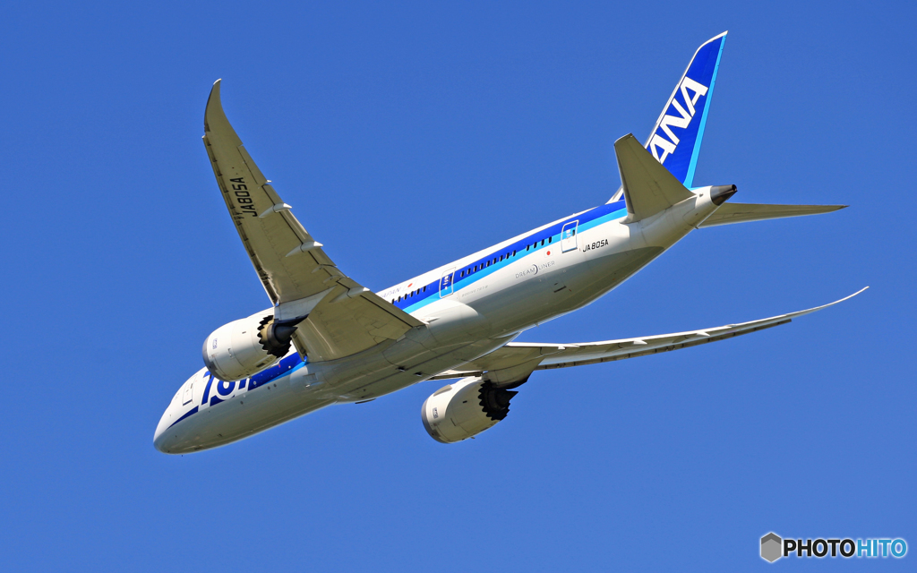 「青い空」 ANA 787-8 JA805A