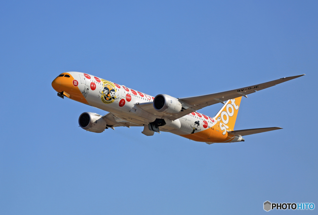 scoot 787-9 9V-OJE 離陸 