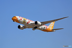 scoot 787-9 9V-OJE 離陸 