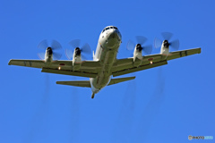 初めての厚木基地(３８)..P-3Cをカッコよく撮る会