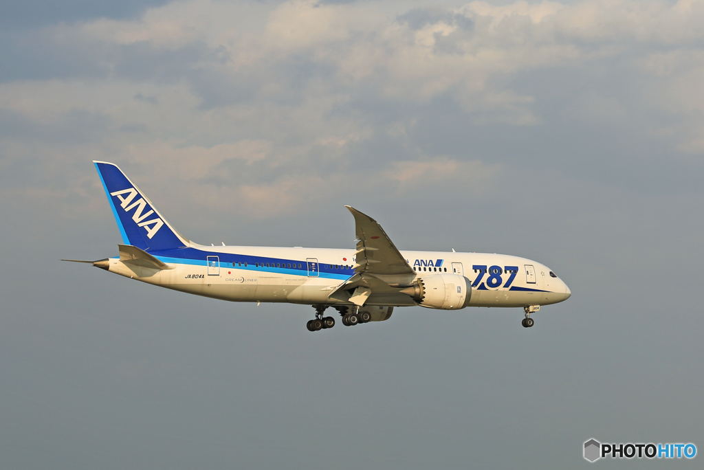 「良い天気」　ANA 787-8 JA804A 着陸
