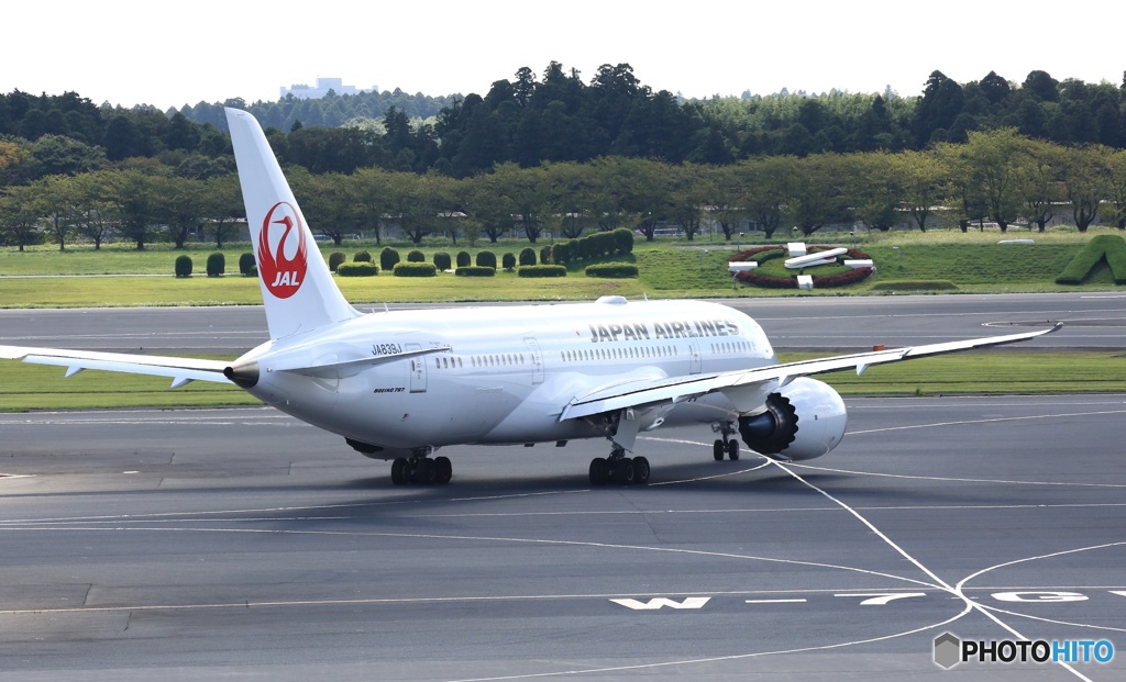 JAL 787-8  離陸　