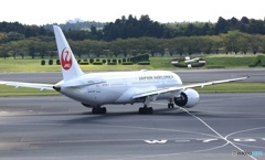 JAL 787-8  離陸　