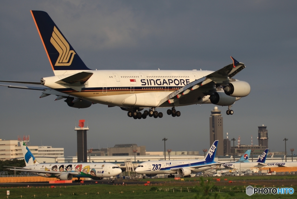 Singapore A380-841 着陸　