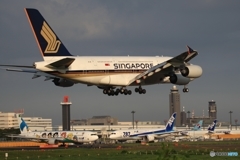 Singapore A380-841 着陸　