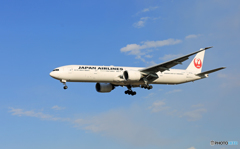 「ぶるー」 JAL 777-346 JA736J着陸