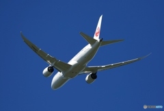 JAL 787-8  飛び立ち　