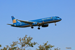 到着　vietnam A321-231