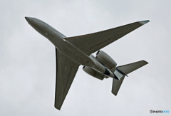 本日の収穫･FR24でもﾌﾞﾛｯｸされ見れませんでした！