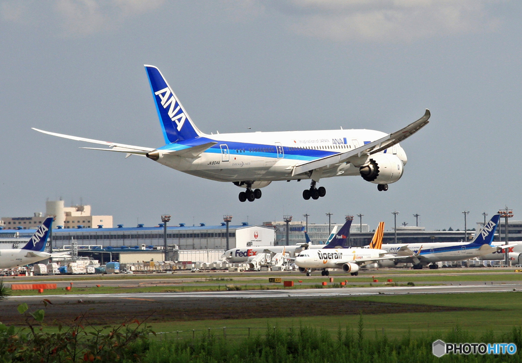 ANA 787-8 JA804A 到着　