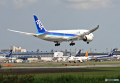 ANA 787-8 JA804A 到着　