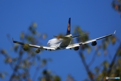 見える！ Lufthansa 747-400 見えない？