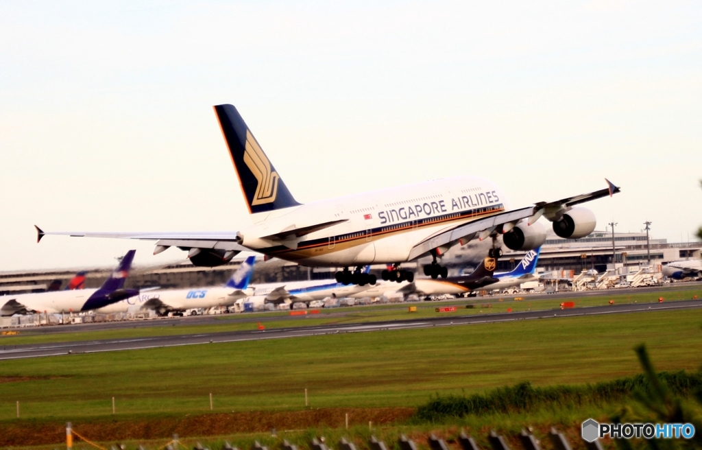 着陸　Singapore A380-841 