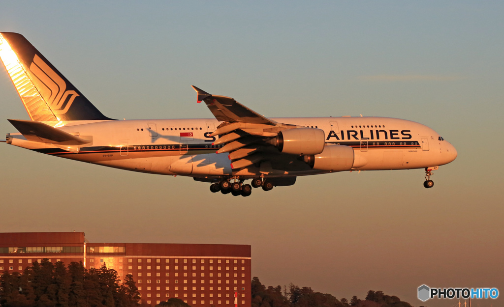 Singapore A380-841 9V-SKP　