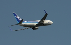 離陸(116) ANA 737-700ER  離陸(116) ANA 737-700ER