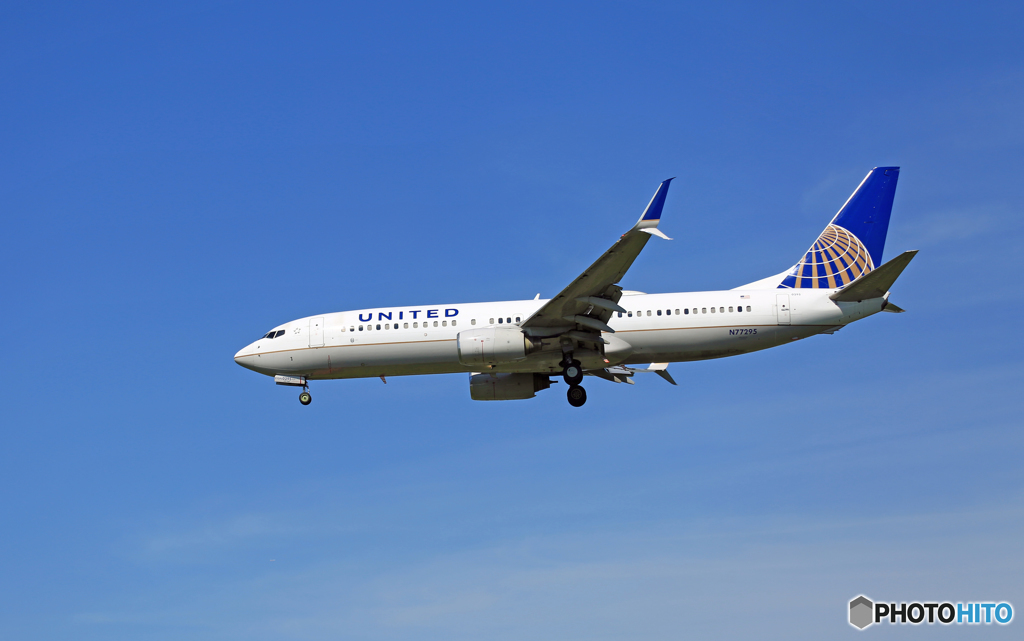 着陸 UNITED 737-800 N77295ｼﾐﾀｰW