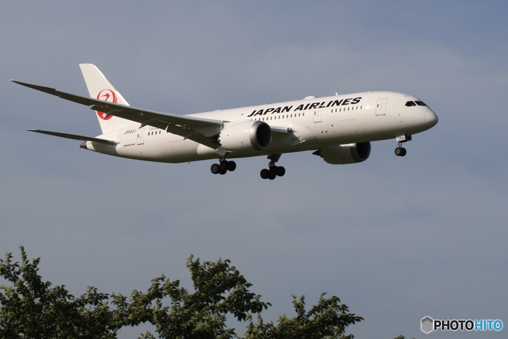JAL 787-8  着陸　