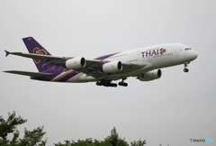 THAI A380-841 到着　