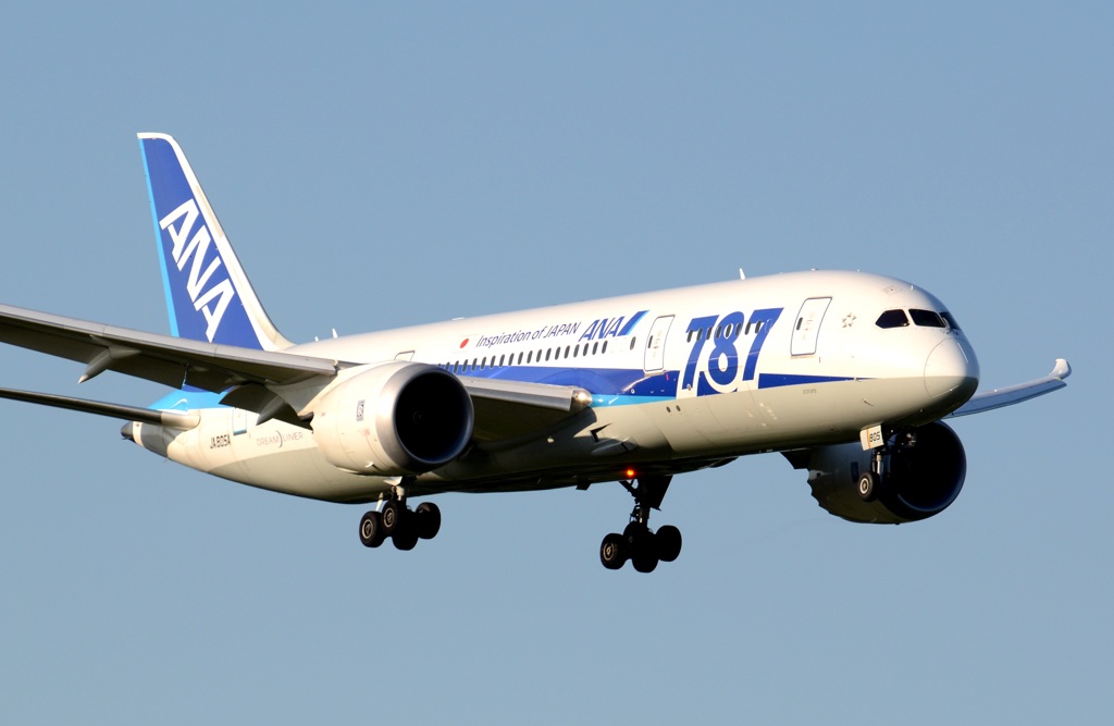 ANA 787-881