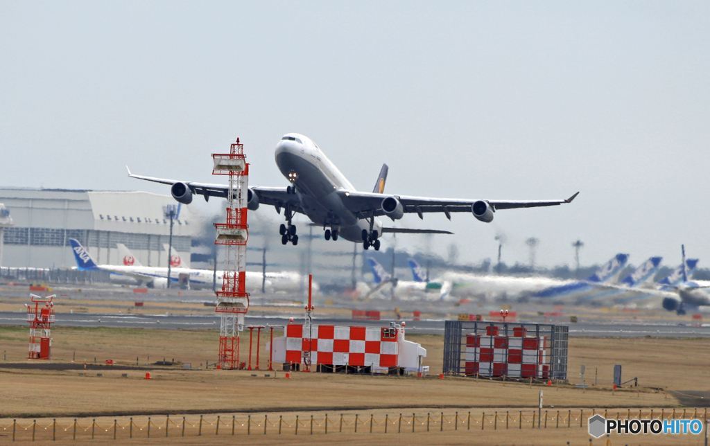 Lufthansa A340-300 D-AGJ 「3度」
