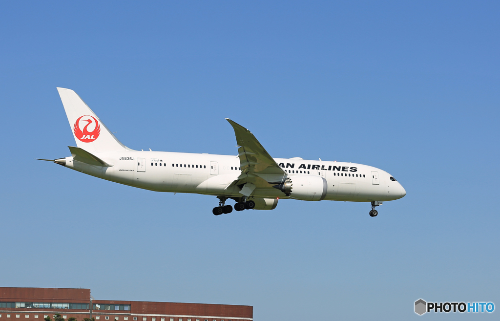 「青色が好き」 JAL 787-8 JA836J 着陸