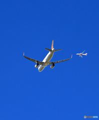 「青空」 飛び立ち tigerair A320+ 