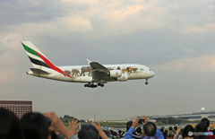 「人気沸騰」？ エミレーツ特別塗装/動物愛護A380
