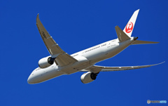 JAL 787-9 JA861J 出発 