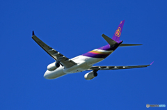[青い空]　Thai A330-343 HS-TBF