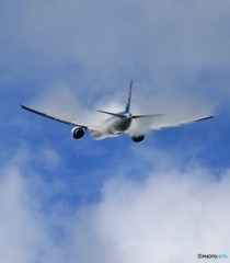 ✈ANA 777-300  ✈ JA788A ✈