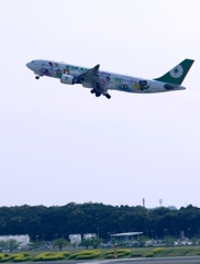 飛び立ち（50）EVR A330-200 Kitty