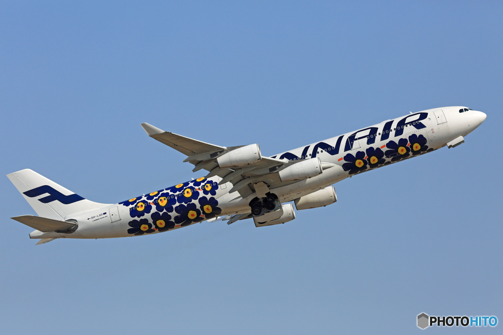 ✈FINNAIR A340-313「マリメッコ ウニッコ」 OH-LQD