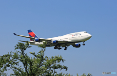 UNITED 747-400 N667US/ジャンボ保存委員会