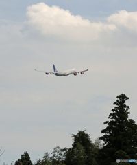 離陸 SAS A340-313 LN-RKF