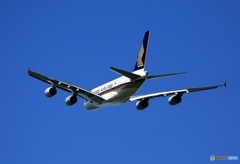 離陸　SINGAPORE A380-841