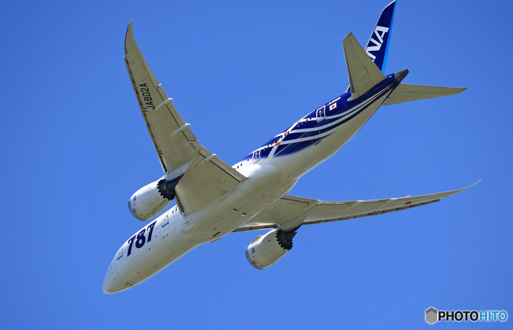 　[青い空]ANA 787-8 JA802A離陸