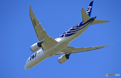 　[青い空]ANA 787-8 JA802A離陸