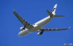 「青い空」Finnair A330-302 OH-LTR