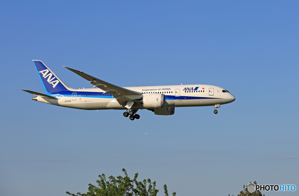 「青空」  ANA 787-8 JA829A 到着