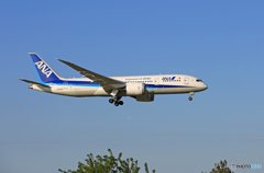 「青空」  ANA 787-8 JA829A 到着