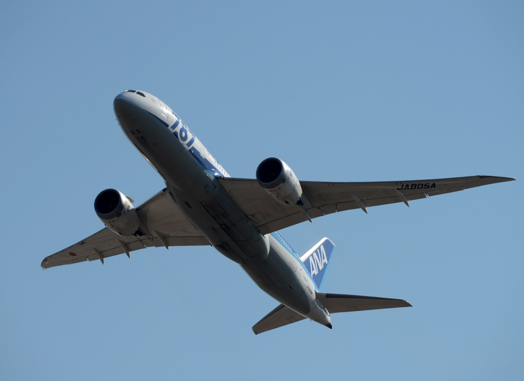 全日本空輸 787-8