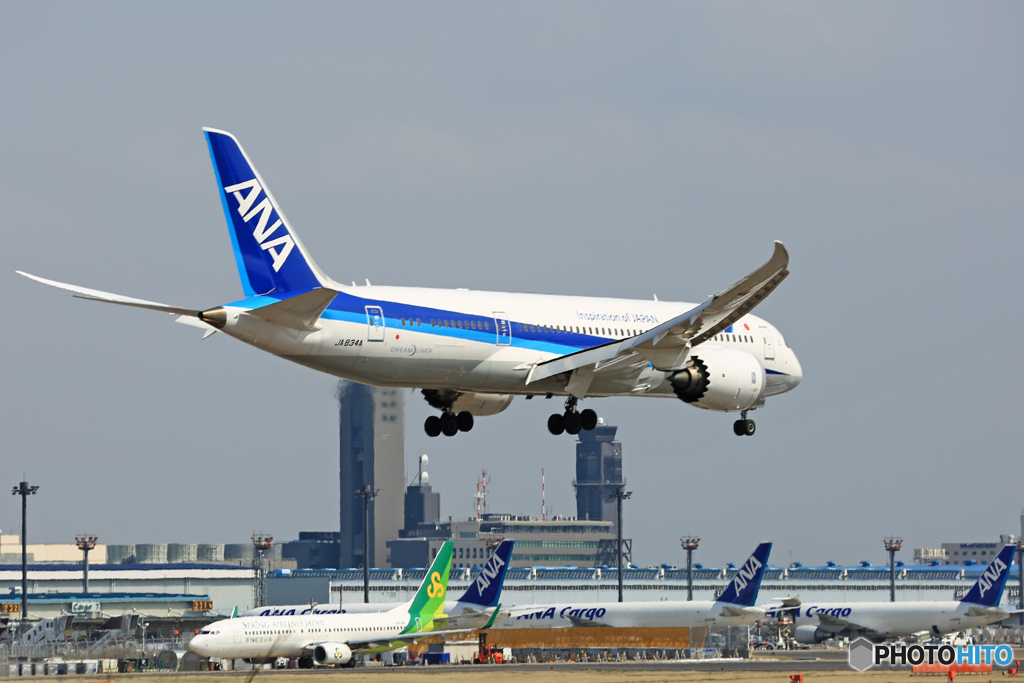 「スカイ」 ANA 787-8 JA834A 着陸