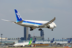 「スカイ」 ANA 787-8 JA834A 着陸